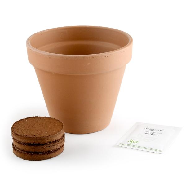 Radis et Capucine - Kit Fraisier - Pot Terre Cuite Antique - 13 cm - MEDIA_EN_SITUATION_2